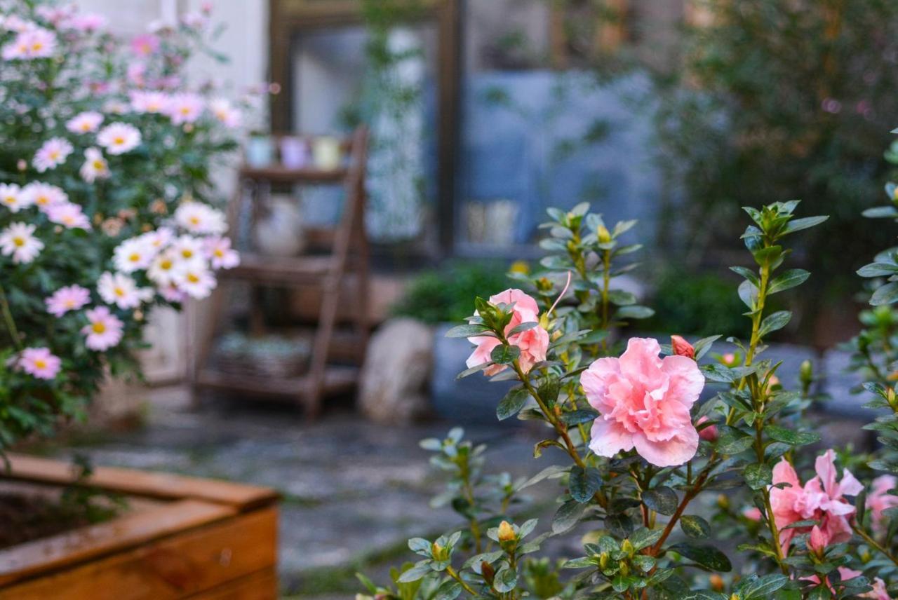 Dali Buxianshan Boutique Guesthouse-In Dali Ancient City,Near Three Pag Odas And Erhai Lake,Provide Tour Guide Service And Local Experience Экстерьер фото